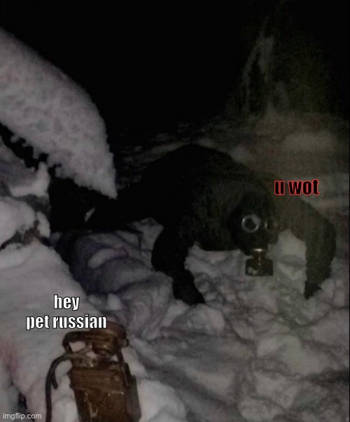 gimme points | u wot; hey pet russian | image tagged in imgflip points,memes,suspicious,hmmm | made w/ Imgflip meme maker
