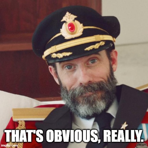 Captain Obvious | THAT'S OBVIOUS, REALLY. | image tagged in captain obvious | made w/ Imgflip meme maker