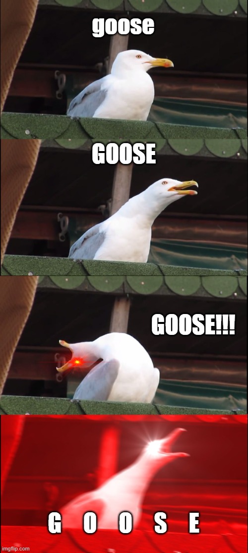 G     O     O     S     E | goose; GOOSE; GOOSE!!! G     O     O     S     E | image tagged in memes,inhaling seagull | made w/ Imgflip meme maker