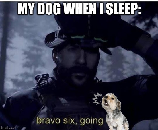 Bravo six going dark | MY DOG WHEN I SLEEP: | image tagged in bravo six going dark | made w/ Imgflip meme maker