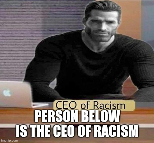CEO of Racism | PERSON BELOW IS THE CEO OF RACISM | image tagged in ceo of racism | made w/ Imgflip meme maker