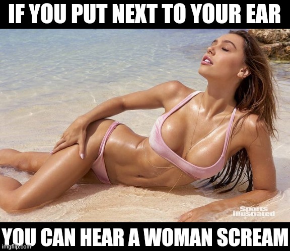She Yells By The Sea Shore | IF YOU PUT NEXT TO YOUR EAR; YOU CAN HEAR A WOMAN SCREAM | image tagged in boobs | made w/ Imgflip meme maker