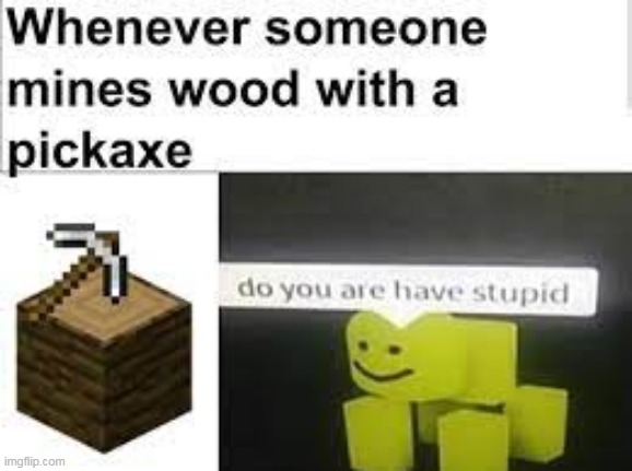 stoopy minecrafter | image tagged in do you are have stupid,stupid,minecraft memes | made w/ Imgflip meme maker