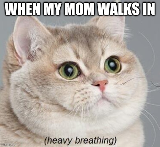 Heavy Breathing Cat | WHEN MY MOM WALKS IN | image tagged in memes,heavy breathing cat,oof size large,funny memes | made w/ Imgflip meme maker