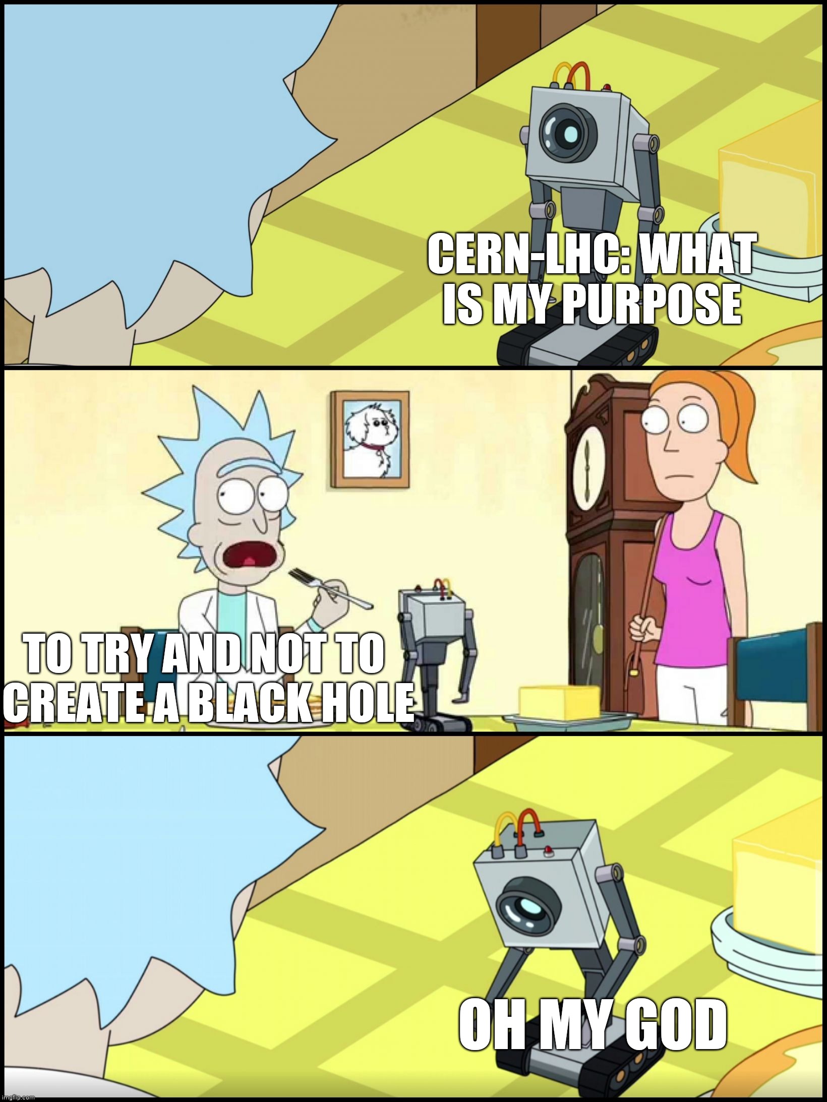 Butter singularity | CERN-LHC: WHAT IS MY PURPOSE; TO TRY AND NOT TO 
CREATE A BLACK HOLE; OH MY GOD | image tagged in rick and morty butter | made w/ Imgflip meme maker