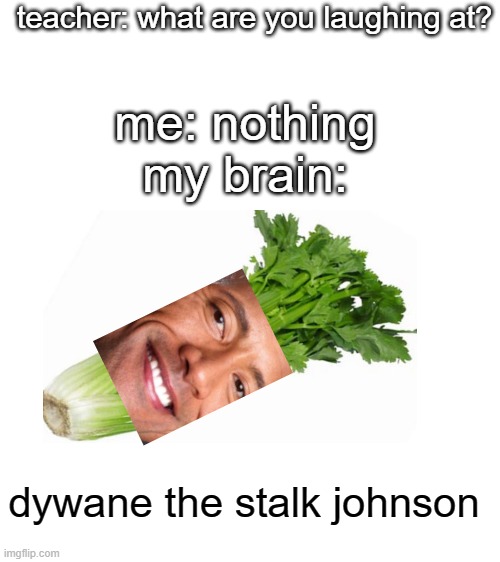 Blank White Template | teacher: what are you laughing at? me: nothing
my brain:; dywane the stalk johnson | image tagged in blank white template,dwayne johnson | made w/ Imgflip meme maker