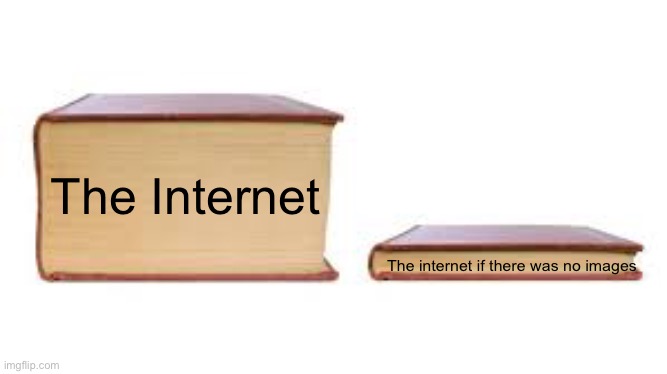 Big book small book | The Internet; The internet if there was no images | image tagged in big book small book,internet | made w/ Imgflip meme maker