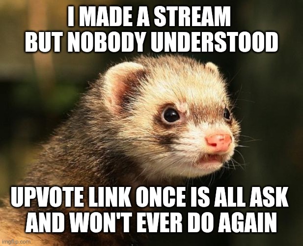 You know I'm just saying that but please upvote will pay forward... | I MADE A STREAM 
BUT NOBODY UNDERSTOOD; UPVOTE LINK ONCE IS ALL ASK 
AND WON'T EVER DO AGAIN | image tagged in frustrated ferret | made w/ Imgflip meme maker