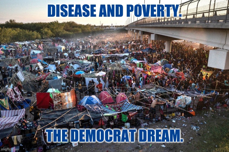 What you can expect with a fraud in the White House. | DISEASE AND POVERTY. THE DEMOCRAT DREAM. | image tagged in memes | made w/ Imgflip meme maker