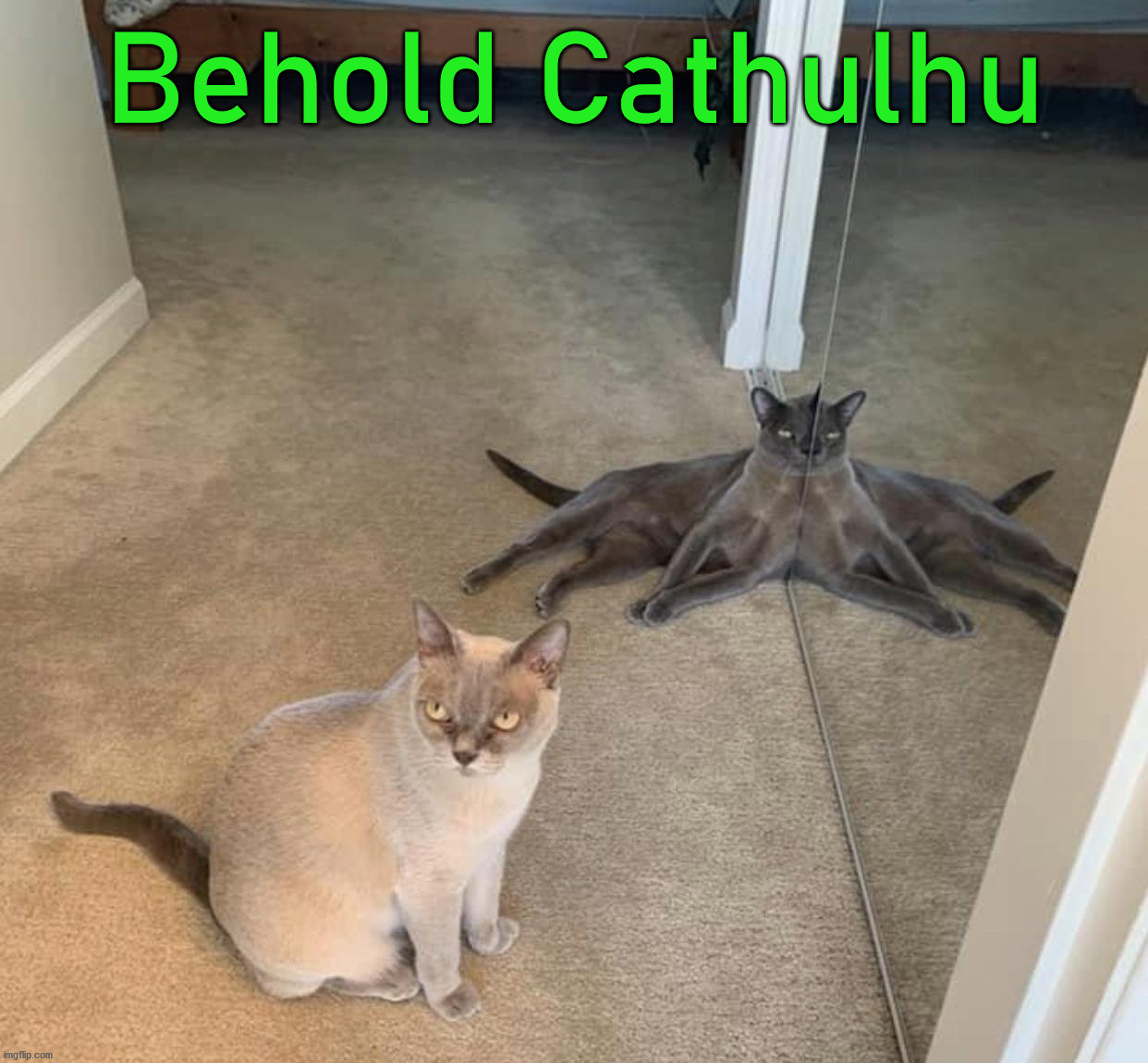 Behold Cathulhu | image tagged in cats | made w/ Imgflip meme maker