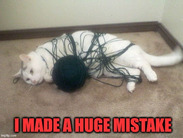 I MADE A HUGE MISTAKE | image tagged in cats | made w/ Imgflip meme maker