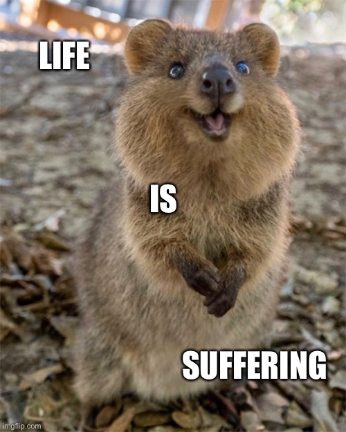 Nihilistic Quokka |  LIFE; IS; SUFFERING | image tagged in funny animals,quokka,nihilism | made w/ Imgflip meme maker