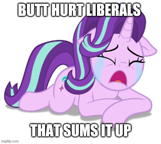 BUTT HURT LIBERALS; THAT SUMS IT UP | made w/ Imgflip meme maker