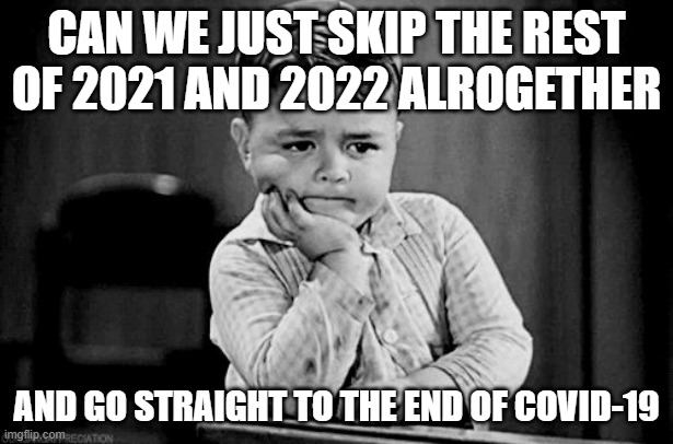 Not a word to come up with for any title of this meme | CAN WE JUST SKIP THE REST OF 2021 AND 2022 ALROGETHER; AND GO STRAIGHT TO THE END OF COVID-19 | image tagged in impatient,memes,relatable,relatable memes,covid-19,impatience | made w/ Imgflip meme maker
