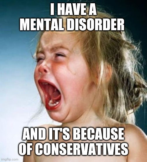 Little girl crying  | I HAVE A MENTAL DISORDER; AND IT'S BECAUSE OF CONSERVATIVES | image tagged in little girl crying | made w/ Imgflip meme maker