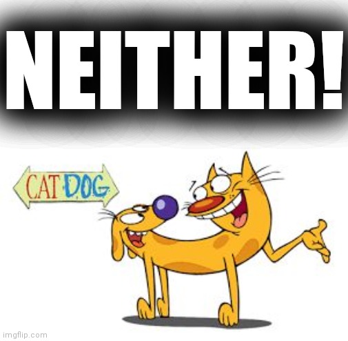 CatDog | NEITHER! | image tagged in catdog | made w/ Imgflip meme maker