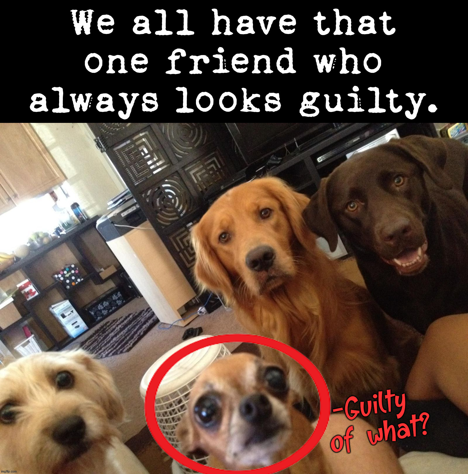 When mom sees this she thinks me and the boys are up to something. |  We all have that one friend who always looks guilty. -Guilty
 of what? | image tagged in guilty,that look you give,me and the boys | made w/ Imgflip meme maker