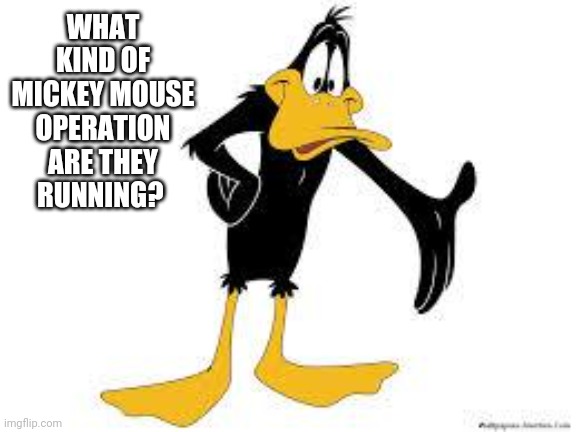 Daffy Duck Welcome | WHAT KIND OF MICKEY MOUSE OPERATION ARE THEY RUNNING? | image tagged in daffy duck welcome | made w/ Imgflip meme maker
