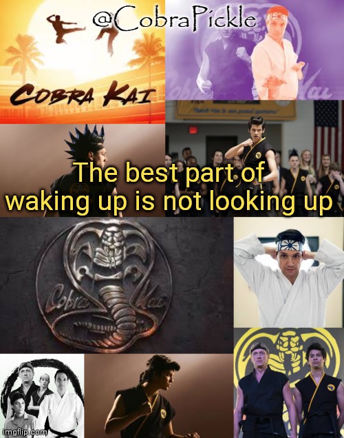 The lights are too bright | The best part of waking up is not looking up | image tagged in pickles cobra kai temp | made w/ Imgflip meme maker