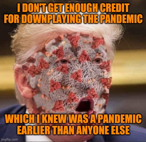 Diaper Don spewing Diaper Don logic | I DON'T GET ENOUGH CREDIT FOR DOWNPLAYING THE PANDEMIC; WHICH I KNEW WAS A PANDEMIC EARLIER THAN ANYONE ELSE | image tagged in trump's virus | made w/ Imgflip meme maker