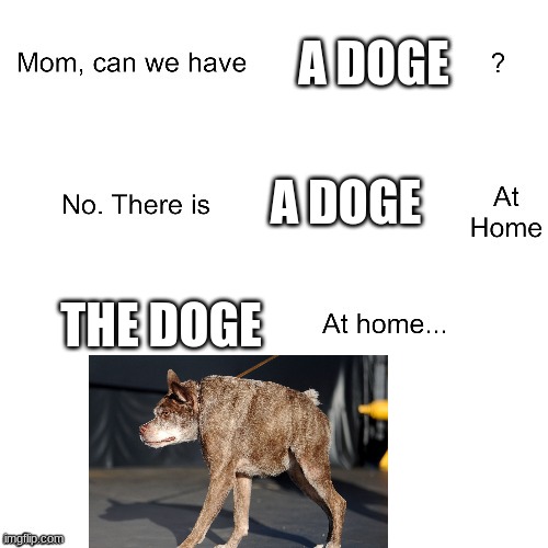 parents never give their kids what they want | A DOGE; A DOGE; THE DOGE | image tagged in mom can we have | made w/ Imgflip meme maker