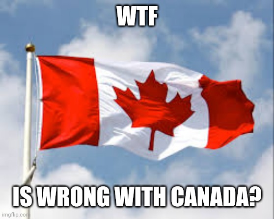 What the eff | WTF; IS WRONG WITH CANADA? | image tagged in canada,trudeau | made w/ Imgflip meme maker