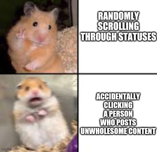 Unwholesome content is scary | RANDOMLY SCROLLING THROUGH STATUSES; ACCIDENTALLY CLICKING A PERSON WHO POSTS UNWHOLESOME CONTENT | image tagged in scared hamster | made w/ Imgflip meme maker