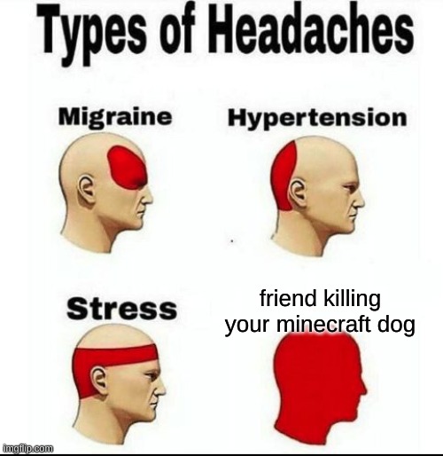 Types of Headaches meme | friend killing your minecraft dog | image tagged in types of headaches meme,minecraft,dog,barney will eat all of your delectable biscuits | made w/ Imgflip meme maker