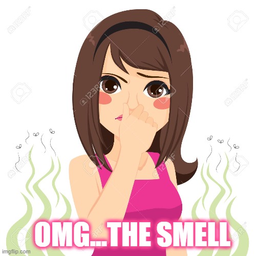OMG...THE SMELL | made w/ Imgflip meme maker