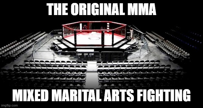 MMA Octagon | THE ORIGINAL MMA MIXED MARITAL ARTS FIGHTING | image tagged in mma octagon | made w/ Imgflip meme maker