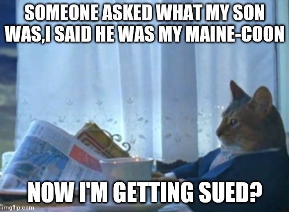 I Should Buy A Boat Cat Meme | SOMEONE ASKED WHAT MY SON WAS,I SAID HE WAS MY MAINE-COON; NOW I'M GETTING SUED? | image tagged in memes,i should buy a boat cat | made w/ Imgflip meme maker