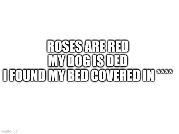 first post here | ROSES ARE RED
MY DOG IS DED
I FOUND MY BED COVERED IN **** | image tagged in blank white template | made w/ Imgflip meme maker