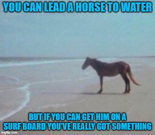 Horse on Beach Man | YOU CAN LEAD A HORSE TO WATER; BUT IF YOU CAN GET HIM ON A SURF BOARD YOU'VE REALLY GOT SOMETHING | image tagged in horse on beach man | made w/ Imgflip meme maker