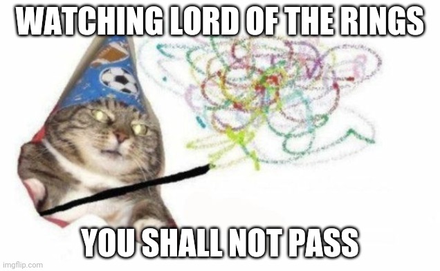 Woosh cat |  WATCHING LORD OF THE RINGS; YOU SHALL NOT PASS | image tagged in woosh cat | made w/ Imgflip meme maker