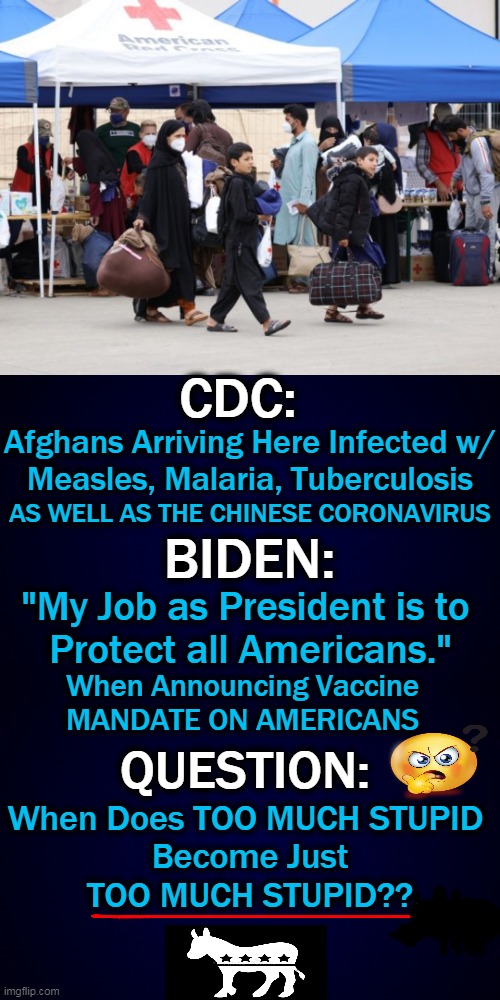 Question of the Day . . . | CDC:; Afghans Arriving Here Infected w/
Measles, Malaria, Tuberculosis; AS WELL AS THE CHINESE CORONAVIRUS; BIDEN:; "My Job as President is to 
Protect all Americans."; When Announcing Vaccine 
MANDATE ON AMERICANS; QUESTION:; When Does TOO MUCH STUPID 
Become Just
TOO MUCH STUPID?? | image tagged in politics,joe biden,cdc,americans,covid-19,do you are have stupid | made w/ Imgflip meme maker