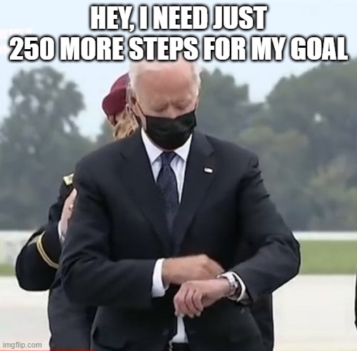 Biden watch | HEY, I NEED JUST 250 MORE STEPS FOR MY GOAL | image tagged in biden watch | made w/ Imgflip meme maker