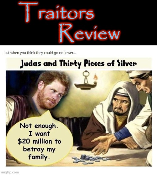 Traitor`s Review | Traitors          
         Review | image tagged in prince harry | made w/ Imgflip meme maker