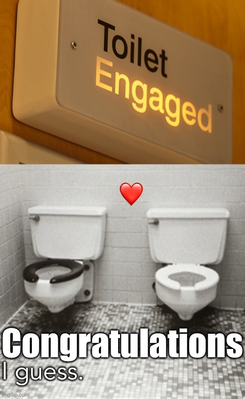 Even the Toilets Are Doing Better Than I Am | ❤️; Congratulations; I guess. | image tagged in funny memes,engagement | made w/ Imgflip meme maker