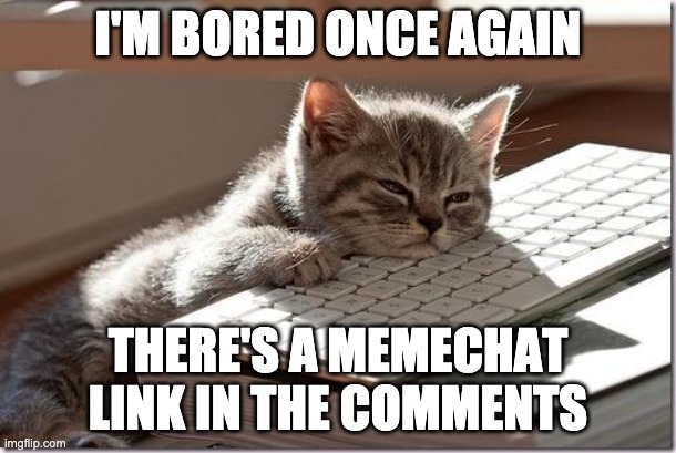 Have fun | I'M BORED ONCE AGAIN; THERE'S A MEMECHAT LINK IN THE COMMENTS | image tagged in bored keyboard cat,memes,unfunny | made w/ Imgflip meme maker