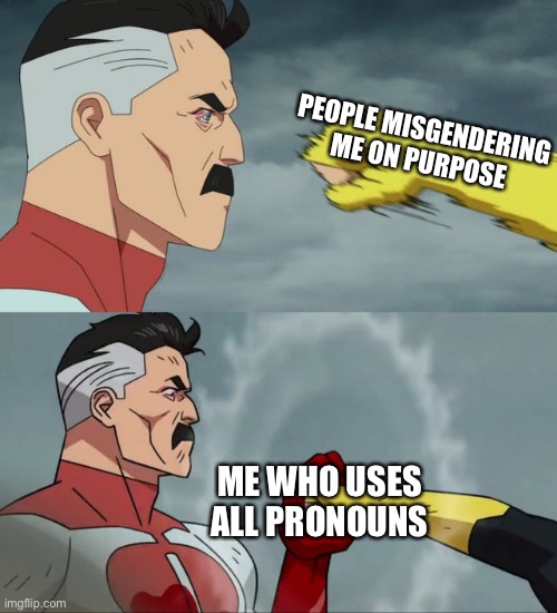 I still prefer she/her pronouns | PEOPLE MISGENDERING ME ON PURPOSE; ME WHO USES ALL PRONOUNS | image tagged in omni man blocks punch | made w/ Imgflip meme maker