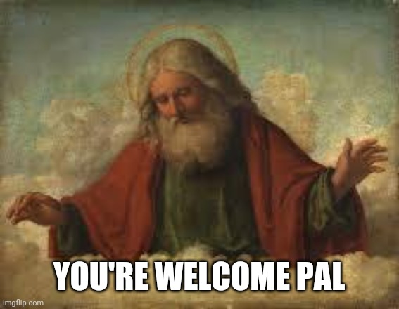 god | YOU'RE WELCOME PAL | image tagged in god | made w/ Imgflip meme maker