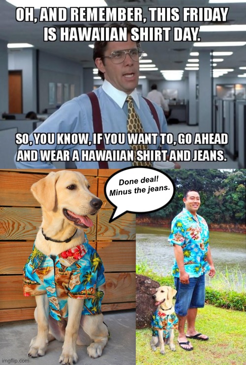 Matching Outfits for Casual Friday | Done deal! Minus the jeans. | image tagged in funny memes,funny dog memes | made w/ Imgflip meme maker