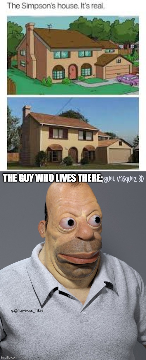 The simpsons are real and I'm terrified | THE GUY WHO LIVES THERE: | image tagged in memes,unfunny | made w/ Imgflip meme maker
