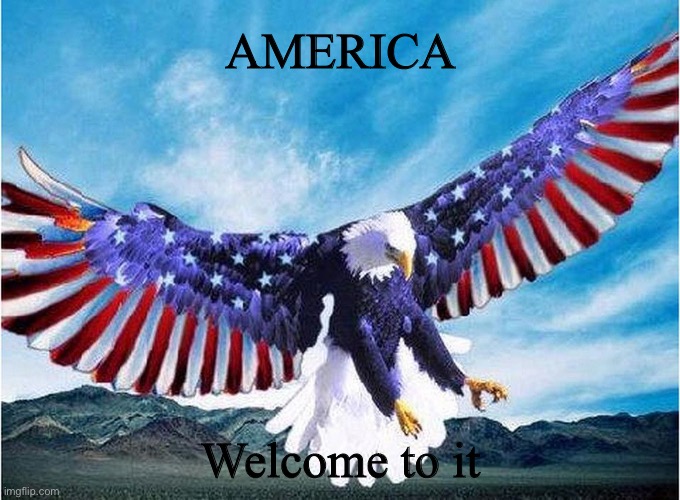 merica eagle |  AMERICA; Welcome to it | image tagged in merica eagle | made w/ Imgflip meme maker
