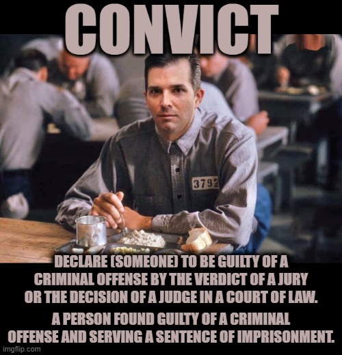 CONVICT | DECLARE (SOMEONE) TO BE GUILTY OF A CRIMINAL OFFENSE BY THE VERDICT OF A JURY OR THE DECISION OF A JUDGE IN A COURT OF LAW. A PERSON FOUND GUILTY OF A CRIMINAL OFFENSE AND SERVING A SENTENCE OF IMPRISONMENT. | image tagged in convict,guilty,verdict,criminal,imprisonment,law | made w/ Imgflip meme maker