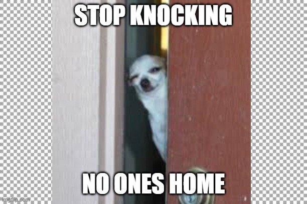 Disturbance | STOP KNOCKING; NO ONES HOME | image tagged in dog | made w/ Imgflip meme maker