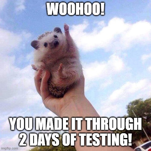 school testing | WOOHOO! YOU MADE IT THROUGH 2 DAYS OF TESTING! | image tagged in school,testing | made w/ Imgflip meme maker