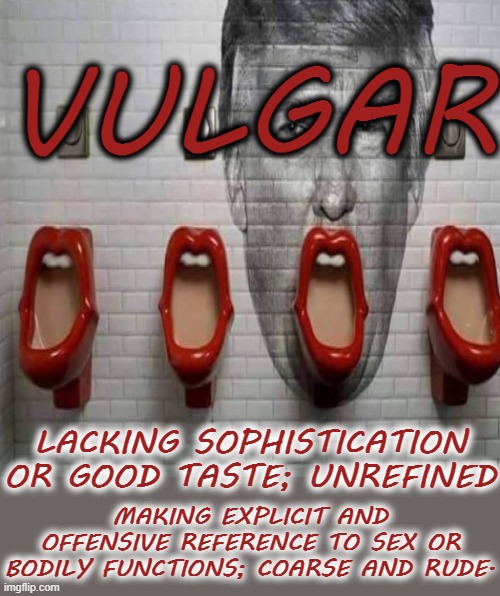 VULGAR | LACKING SOPHISTICATION OR GOOD TASTE; UNREFINED; MAKING EXPLICIT AND OFFENSIVE REFERENCE TO SEX OR BODILY FUNCTIONS; COARSE AND RUDE. | image tagged in vulgar,explicit,offensive,rude,sophistication,taste | made w/ Imgflip meme maker