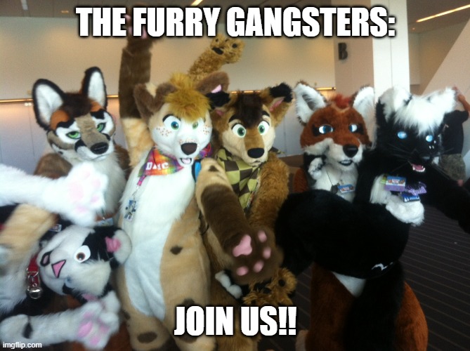 Join US | THE FURRY GANGSTERS:; JOIN US!! | image tagged in furries | made w/ Imgflip meme maker