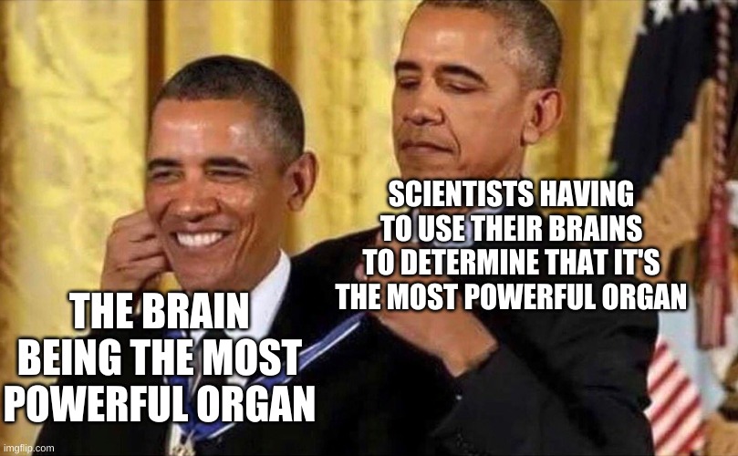 smort | SCIENTISTS HAVING TO USE THEIR BRAINS TO DETERMINE THAT IT'S THE MOST POWERFUL ORGAN; THE BRAIN BEING THE MOST POWERFUL ORGAN | image tagged in obama medal | made w/ Imgflip meme maker